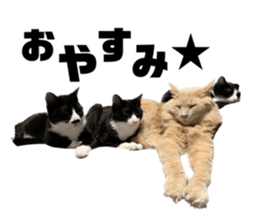 600061232
