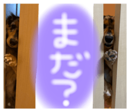 600069916