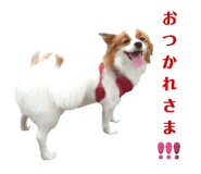 600111774