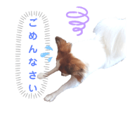 600111778