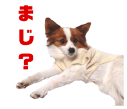 600111779