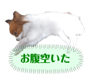 600111780