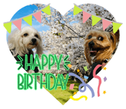 600128586