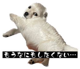 600129286