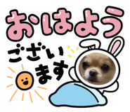600135465