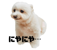 600156989
