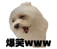 600156998