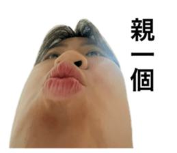 600241619