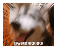 600250578