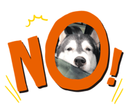 600250582