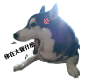 600250586