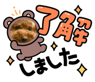 600281196