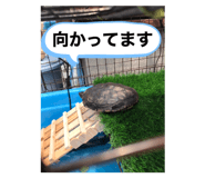 600281222