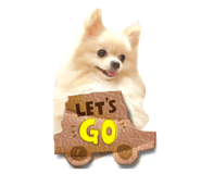600370660