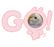 600382618