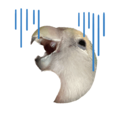 600391434
