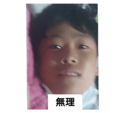 600393493