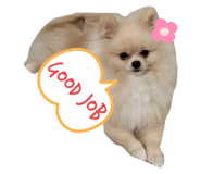 600393654