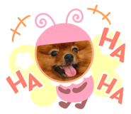 600393657