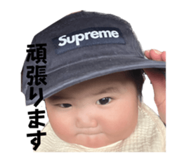 600455848
