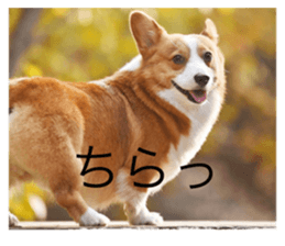 600480208