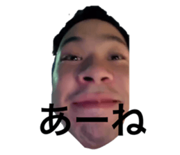 600493590