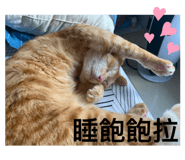 600530307