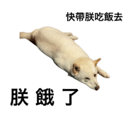 600531735