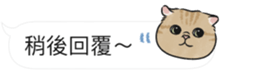 600587323