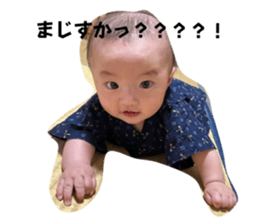 600593050