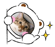 600609215