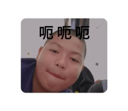 600623733