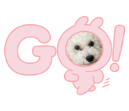 600724763