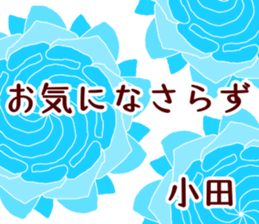 60073953