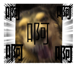 600748840