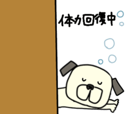 600764455