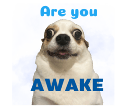 600764677