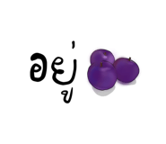 600801569
