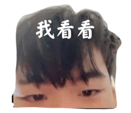 600808091