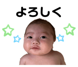 600816027