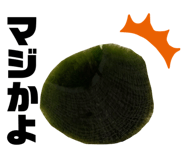 600858091