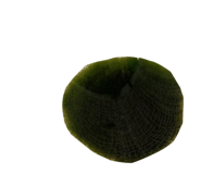 600858095