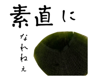 600858098
