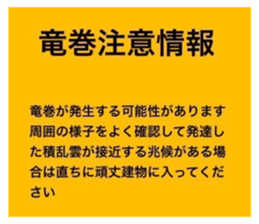 600970891