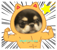 601107081