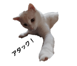 601114921