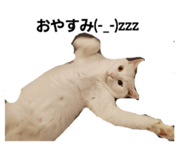 601114925