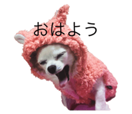 601116734