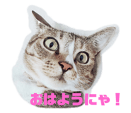 601125270