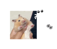601136996